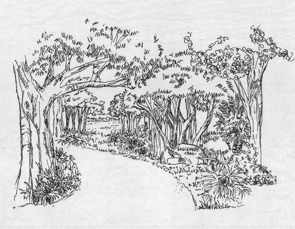 eaglemere_trail_white