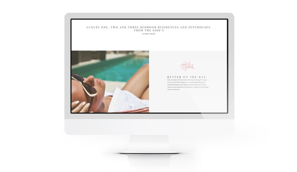 BIJPortfolio_Website_3