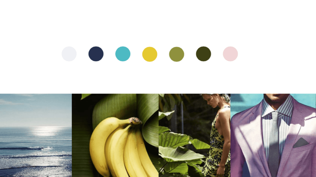 b_color_inspiration